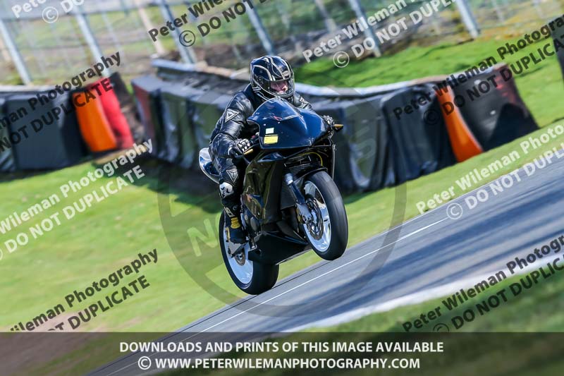 Oulton Park 20th March 2020;PJ Motorsport Photography 2020;anglesey;brands hatch;cadwell park;croft;donington park;enduro digital images;event digital images;eventdigitalimages;mallory;no limits;oulton park;peter wileman photography;racing digital images;silverstone;snetterton;trackday digital images;trackday photos;vmcc banbury run;welsh 2 day enduro